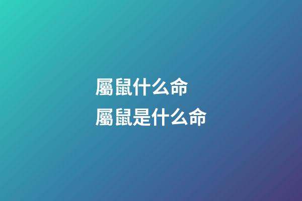 屬鼠什么命 屬鼠是什么命-第1張-觀點(diǎn)-玄機(jī)派
